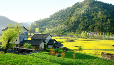 三部门：卖房后1年内重新买房，可申请退还已缴纳的房产个税